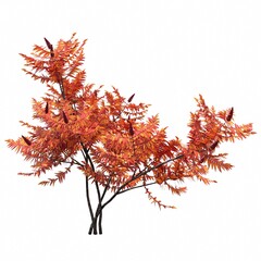 bush isolated on white background, 3D illustration, cg render