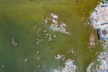 Tasajeras in Columbia