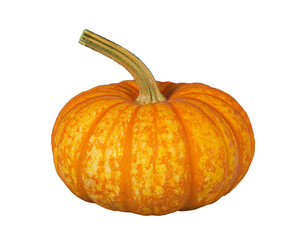 Sparkler pumpkin. Isolated on transparent background. 