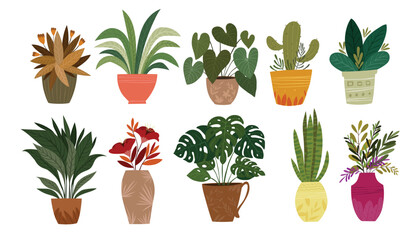Set of Plants in pot vector illustration, Houseplants for interior home or office decoration
