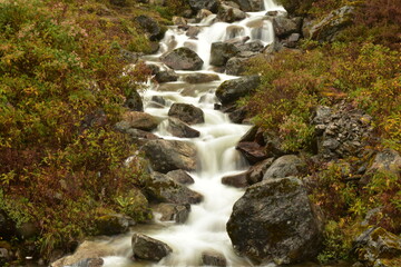waterfall in the forest