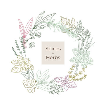 Circular pattern of spicy herbs line Oregano, Fenugreek, Rosemary, Mint, Arugula, Thyme, Parsley, Lavender, Tarragon, Basil, Dill, Scallion, Cheremsha, Cilantro, Sage, Lovage.