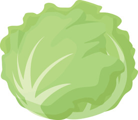 シンプルでかわいいレタスのイラスト