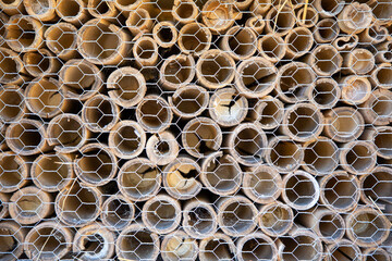 mesh tube bamboo branch bug hotel insect house wooden give protection and nesting aid to bees and other insects