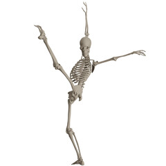 skeleton posing 3d render illustration