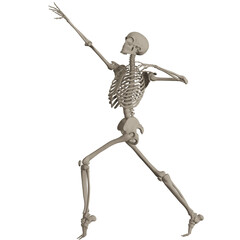 skeleton posing 3d render illustration