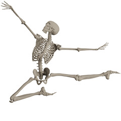 skeleton posing 3d render illustration
