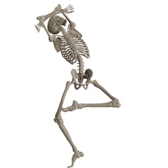 skeleton posing 3d render illustration