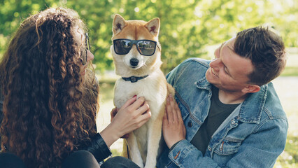 Smiling dog owners are patting cute puppy with sunglasses on its eyes and smiling while relaxing in...