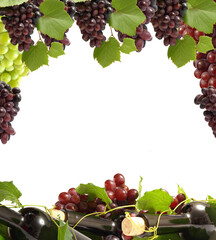 Grape wine