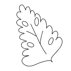 Black and white of a spring flower. Vector illustration in hand drawn style