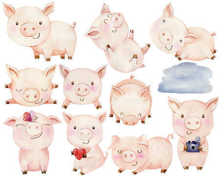Set of watercolor pigs.