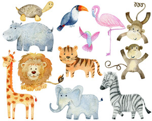 Safari Animals Set