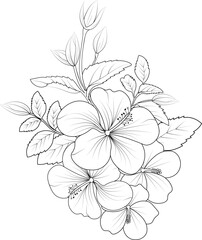 hibiscus  blossom flowers and branch vector illustration. hand Drawing vector illustration for the coloring book or page Black and white engraved ink art, for kids or adults.
