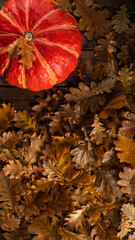 Oak leaves on a wooden table. there is a pumpkin nearby