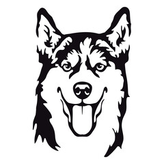 Portrait of Siberian Husky.  Isolated outline sketch,contour vector illustration © Yusuf