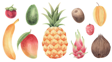 Watercolor collection of tropical fruits. 