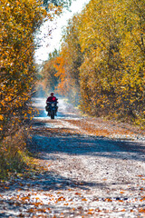 Motorcyclist on Old Forest Road Against Autumn Scenery in Polesye natural Resort.