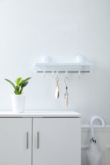 Background 현관 화분 신발장