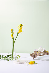 Background 배경 소품 꽃