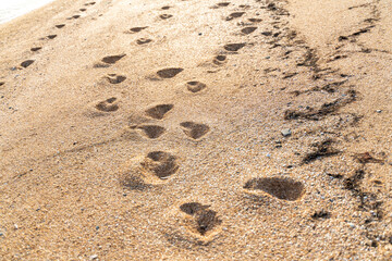 Human footprint on sand summer beach background with copyspace