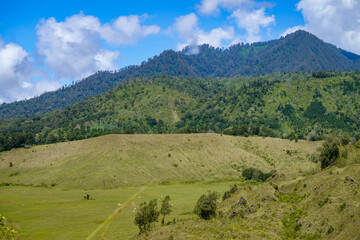Obraz premium Rolling green-brown mountains and hills planted covered with grass and trees in sunny weather with blue sky at Ijen National Park 
