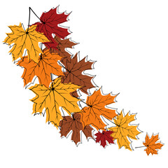 Autumn Maple Frame