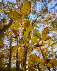 Autunno nel Parco Nazionale della Maiella