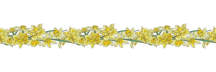 Horizontal border, frame of blooming daffodils. Seamless botanical pattern. Flowers in ink.