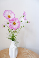 Fresh Pink Cosmos flowers in white vase. Seasonal flowers indoor decoration on wooden table. pink and white Cosmos.