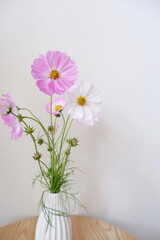 Fresh Pink Cosmos flowers in white vase. Seasonal flowers indoor decoration on wooden table. pink and white Cosmos.