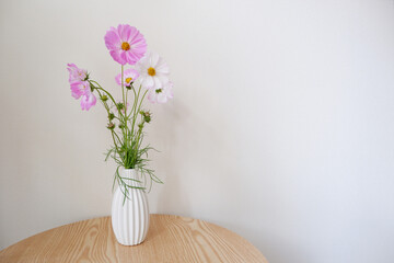 Fresh Pink Cosmos flowers in white vase. Seasonal flowers indoor decoration on wooden table. pink and white Cosmos.