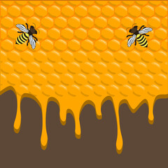 Various sweet tasty natural honey from honeycomb