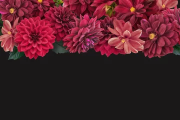Deurstickers Floral banner, header with copy space. Red dahlia isolated on dark background. Natural flowers wallpaper or greeting card. © RinaM