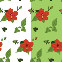 Seamless pattern of red Hibiscus flowers on a white and green backgrounds. Chinese rose. Vector illustration for decoration, postcards, print