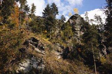 landscape with trees and sky. 
Two yellow trees on a rock
