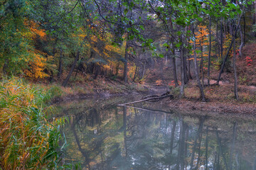Bukowno staw Leśny Dwór w jesiennej szacie © pinus25