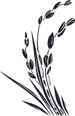 Rice template. Vector paddy field, grains. Graphic
