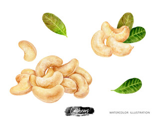 A pile of cashews, hand-drawn in watercolor, isolated on a white background. Set of elements of cashew nuts and leaves. An element of packaging design.