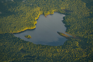 aerial photography. lake in the middle of a forest. photo during the day