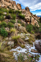 La Pedriza del Manzanares