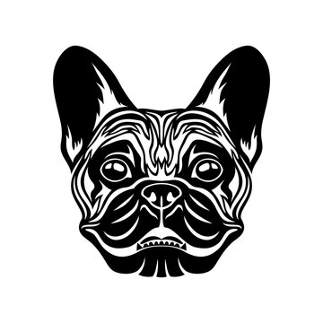 French bulldog breed dog icon on white background.