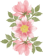 bouquet of pink flowers