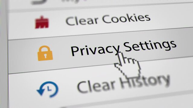 Mouse Cursor Clicking "Privacy Setting" Menu Bars on Web Browser. All data on the Footage are Fictional, Created Especially for This Concept
