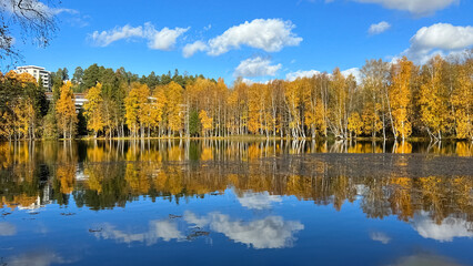 Forest lake in autumn. Reflection of yellow trees in the water. Photo