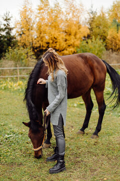 Woman on a horse at rancho. Horse riding, hobby time. Concept of animals and human