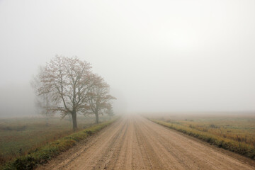 Obraz na płótnie Canvas Lonely countryside road in Latvia with a tree beside a dirt road in the mist.