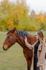 Woman on a horse at rancho. Horse riding, hobby time. Concept of animals and human