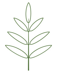 Twig with leaves. One branch, symmetrical shape, outline flat style. Green color. Straight branch, contour leaves. Useful for creating vector brushes. Flower icon isolated on transparent background.