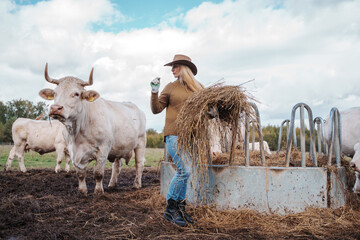 Shot of cowboy woman with hat dressed in sweater working on agricultural field.